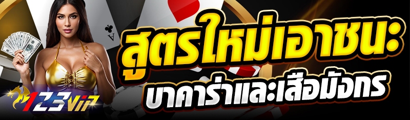 สูตรใหม่เอาชนะบาคาร่าและเสือมังกร