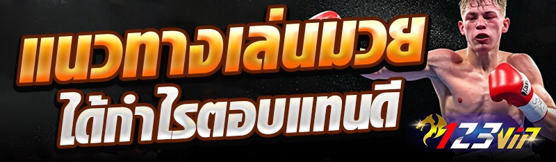 แนวทางเล่นมวยได้กำไรตอบแทนดี