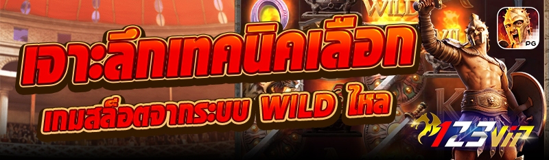 เจาะลึกเทคนิคเลือกเกมสล็อตจากระบบ Wild ไหล