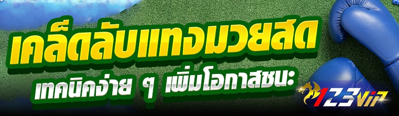 เคล็ดลับแทงมวยสด เทคนิคง่าย ๆ เพิ่มโอกาสชนะ